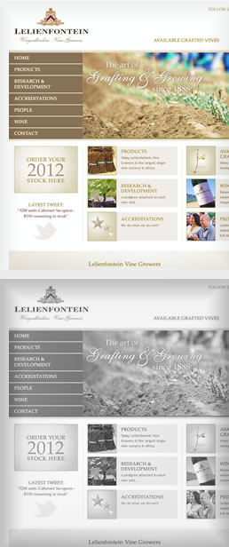 Lelienfontein - Vine Growers  1