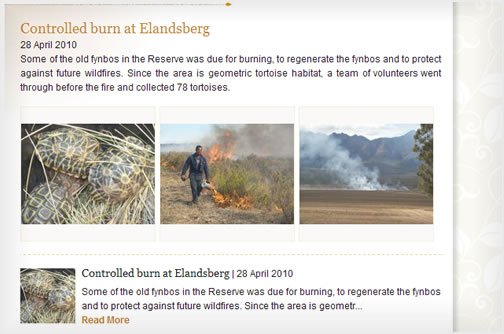The game rangers have a blog that allows them to post the various happenings on the game reserve, this is a great way of populating fresh content for a small country hotel, which is always a challenge.