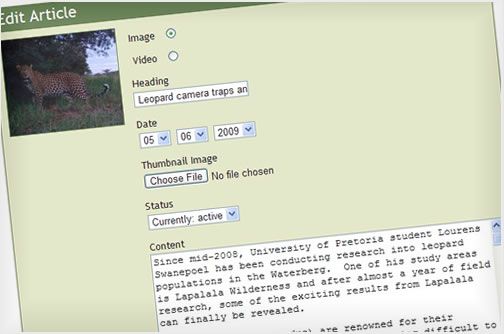 Bespoke content management ensure ease of use and simplicity, saving time.